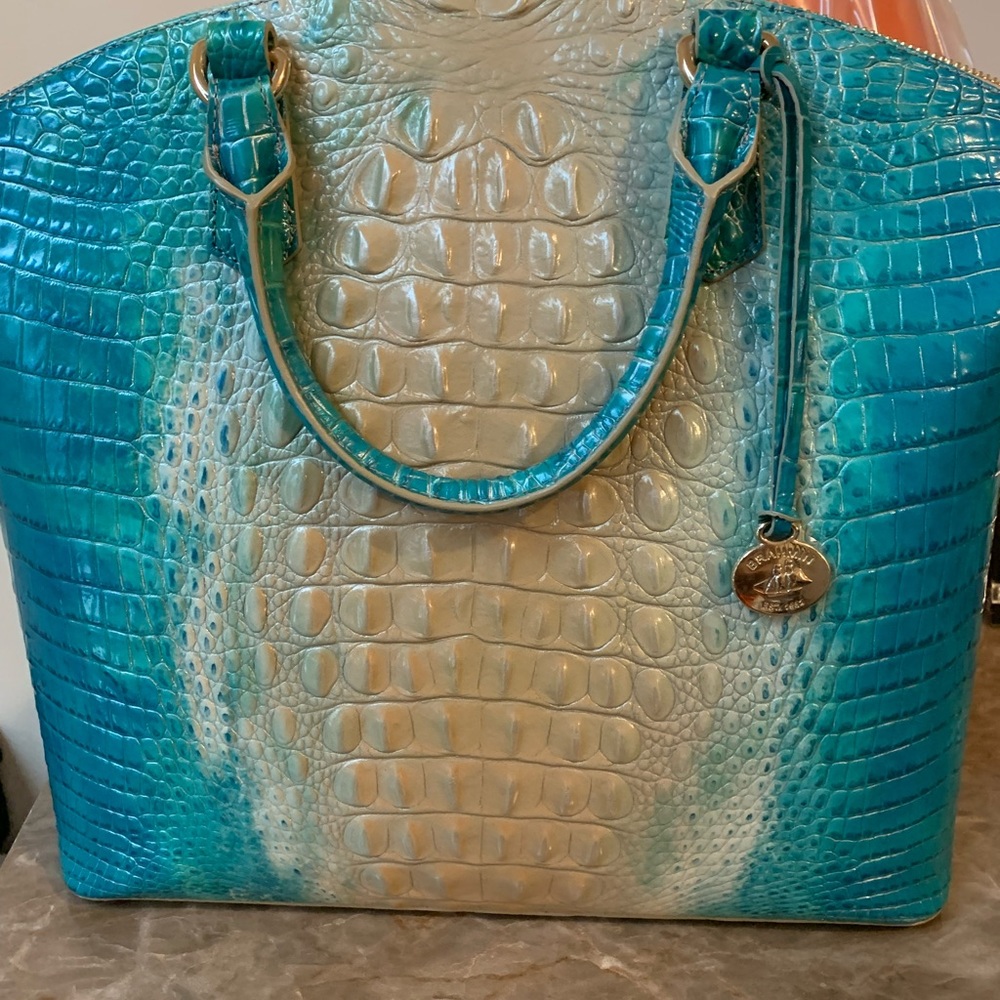 Large Duxbury Brahmin purse